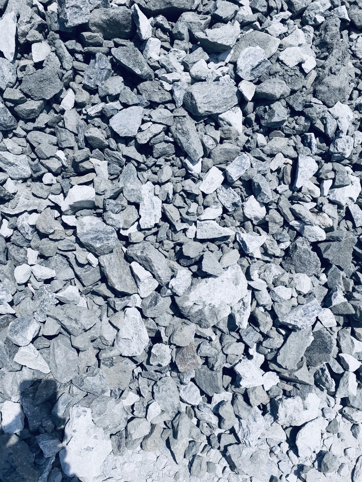 297a34bb-f0bc-4c31-a8e7-6293da822401