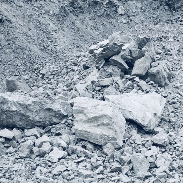 48ced17b-533e-4006-91b2-e8b90d246c9f